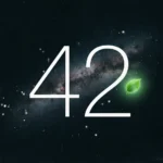 meaning of life number