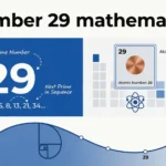 29 number meaning