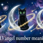 3113 Angel Number Meaning: Biblical, Spiritual & Life Guide (2026) 3113 angel number meaning